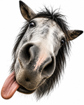 Horse 2